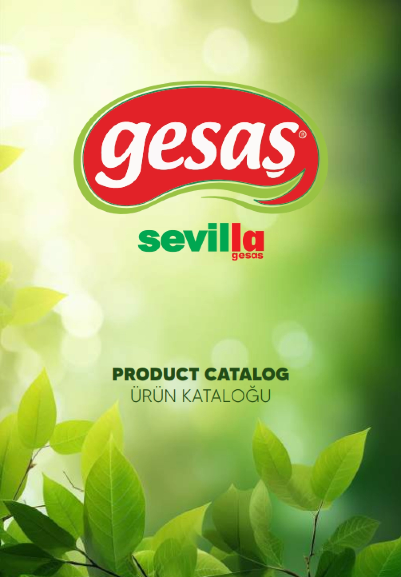 Gesaş Kataloğu